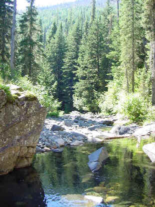 chardownstream.JPG (61757 bytes)