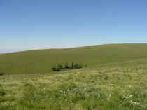 littlebaldnw.JPG (63863 bytes)